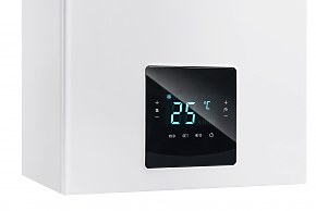 Газовый котел LaggarTT C30